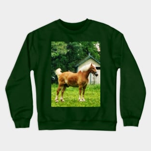 Horses - Palomino in Pasture Crewneck Sweatshirt